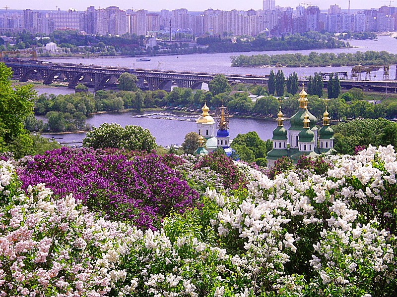 Весняні прогулянки: мальовничі автобусні маршрути України