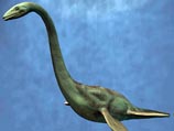 На берегу Ла-Манша найден скелет плезиозавра, жившего 200 млн лет назад