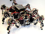 Створено шестиногого робота, здатного пройти де завгодно