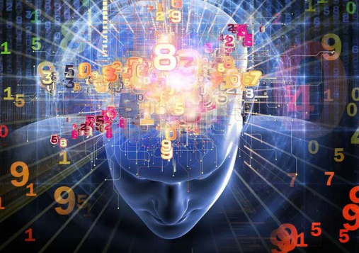 Интеллект зависит от способности мозга интегрировать, выяснили ученые