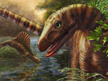 Ученые нашли древнейших родственников динозавров