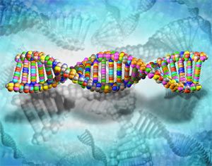 Ученые доказали: гены не главный источник отличий между людьми