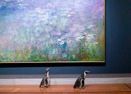картины в музее, пингвин