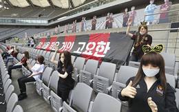 на стадионе в Южной Корее секс-кукла
