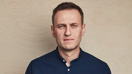 навальный политическое убежище