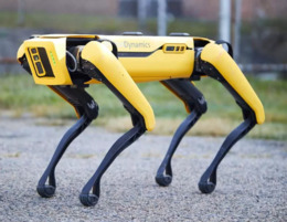Boston Dynamics продажа робот Spot канада европа