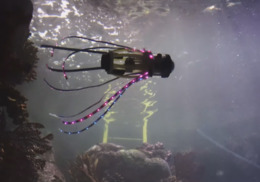 изобретение мягкий робот изучение море глубина