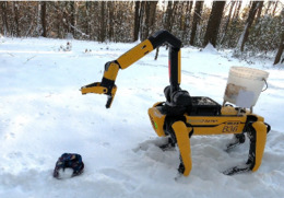 робот Spot Boston Dynamics