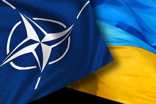 Підтримати Україну та не допустити ескалацію, НАТО має два завдання – Єнс Столтенберг