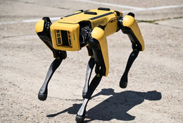 робот-собака Spot