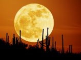 Луна уменьшается в размере, обнаружили американские ученые