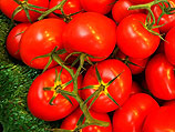 Израильские генетики вывели помидор, не нуждающийся в холодильнике