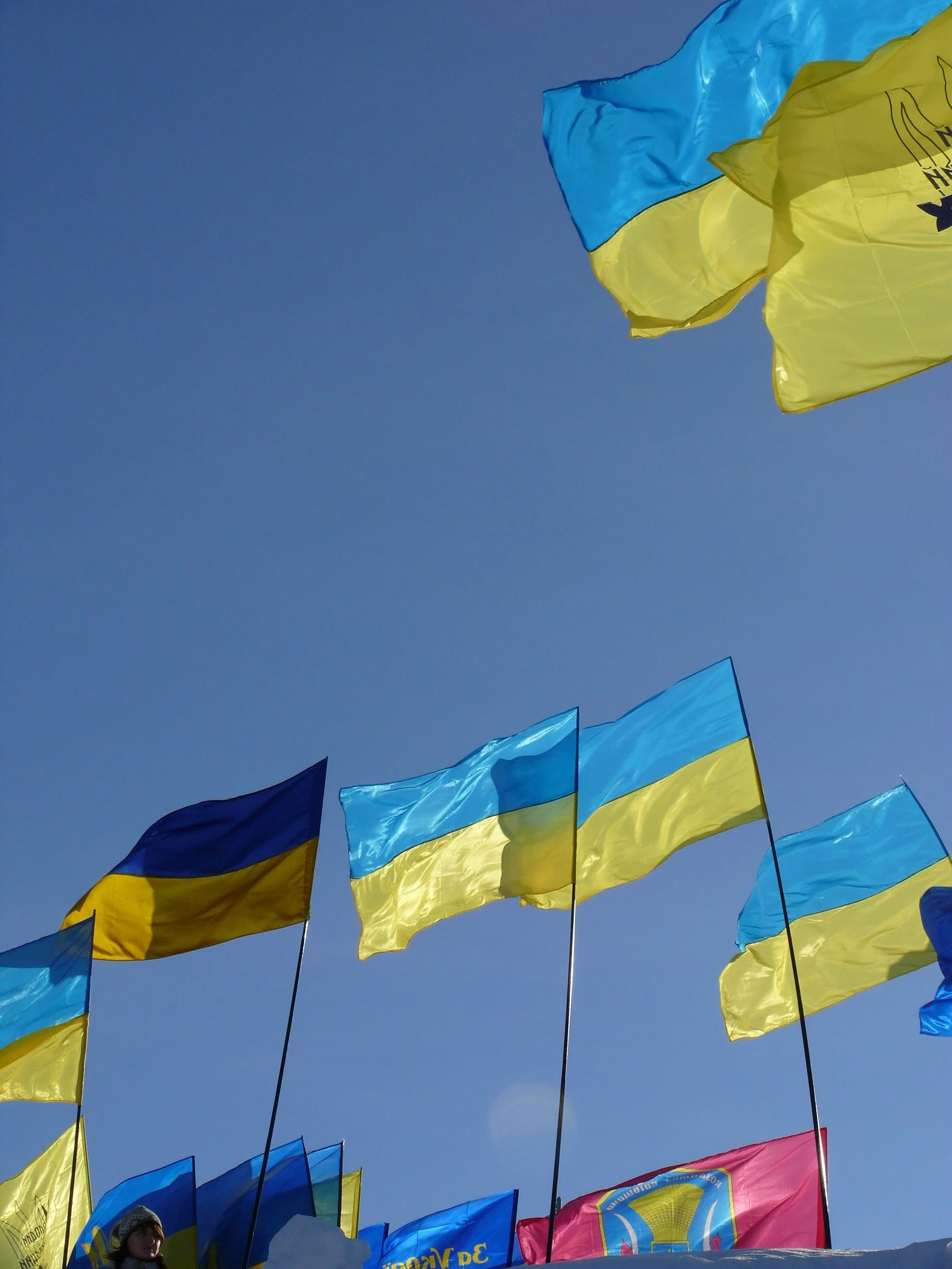 Меморіальний комплекс Героям Крут. Стяги України