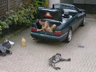 Google Street View заснял рождение ребенка на улице. Самые странные уличные фото