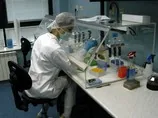 Ученые открыли механизм, позволяющий повернуть вспять процесс старения