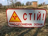 Науковці виявили, що у чорнобильських птахів аномально зменшився мозок