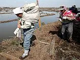 Ситуация на АЭС обостряется: Япония обратилась за помощью в МАГАТЭ