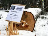 У Києві при "молодій команді" вкрали землі на 70 мільярдів
