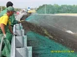 K приезду VIP-гостей из Москвы газоны "покрасили" в сине-зеленый цвет. ВИДЕО