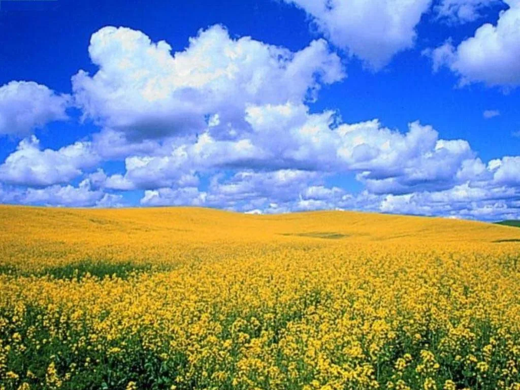 Рейтинг неспроможних країн: Україна пасе задніх