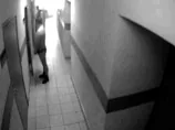 Замначальника ОВД справил нужду под дверью кабинета, шокируя посетителей и коллег. ВИДЕО