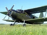 Загинув пілот на Вінниччині, літак зачепивcя за верхівку дерева і розбився
