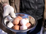 Курячі яйця по 18 грн за десяток закуповує тваринам Київський зоопарк