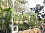 Ученый, закрывшись в герметичном боксе, доказал: выжить за счет фотосинтеза возможно