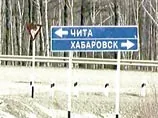 В Чите обнаружили пятилетнюю девочку, воспитанную собаками и кошками