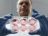 Біфштекс із синтетичного м'яса, вартістю 300 тис дол