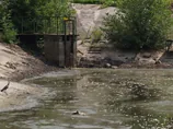 В річку на Тернопільщині з каналізації потрапила невідома речовина, берег засіяний рибою. ВІДЕО