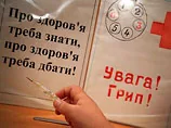В Україні мор від грипу: дані про його природу і жертв суперечливі. У західних областях померло 20 осіб. У МОЗ не відкидають - свинячий грип