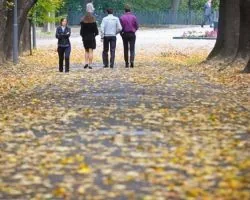 Погода в Україні на завтра - 26 листопада
