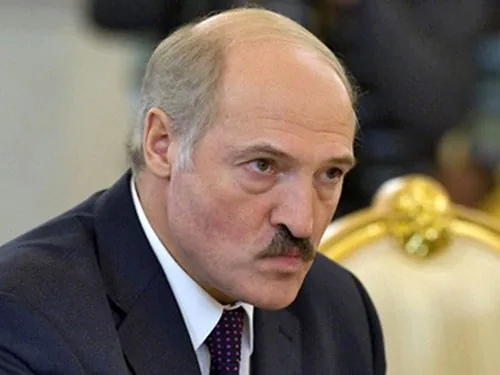 Головний кабан Бєларусі просить Лукашенка зупинити свиноцид. ВІДЕО