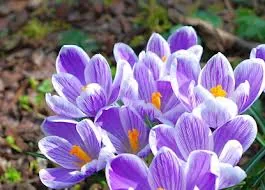 Погода в Україні на завтра - 26 лютого