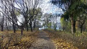 Погода в Україні на завтра - 22 листопада