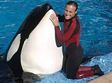 Косатка из американского дельфинария убила дрессировщицу во время представления