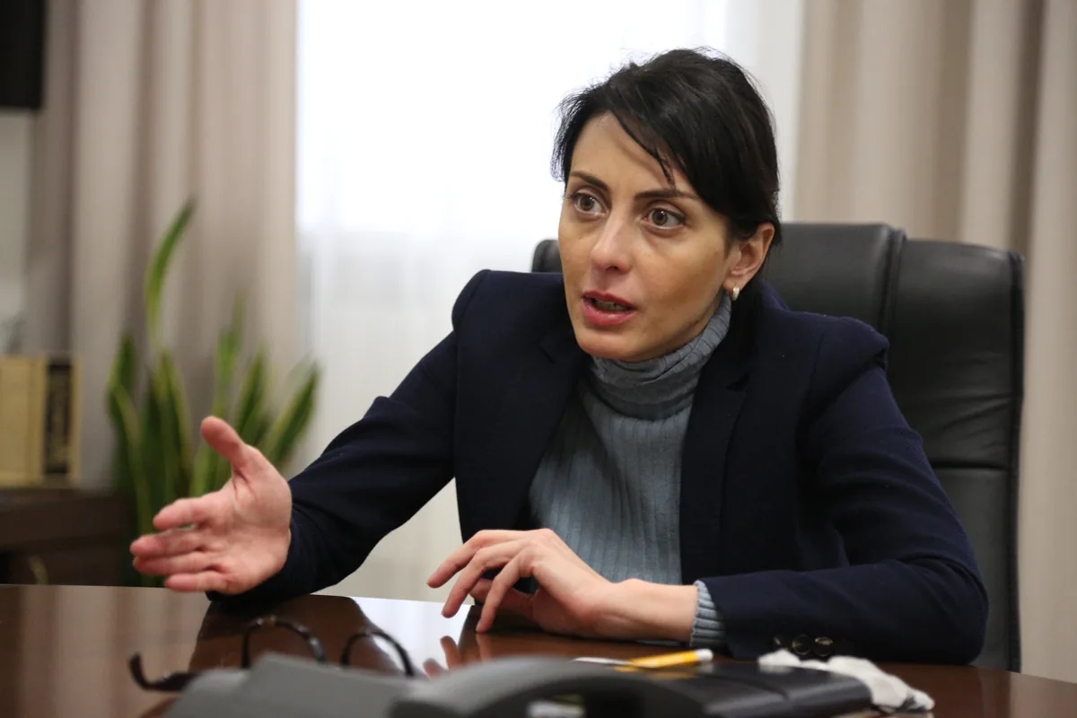 Найбільше мене вразила декларація Насірова - Деканоідзе