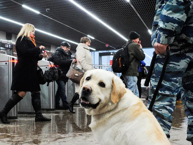 Россияне напуганы вероятностью новых терактов после взрыва в метро Санкт-Петербурга