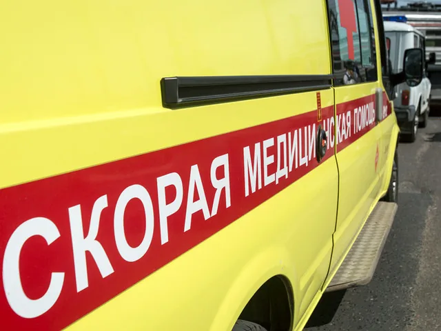 В Ленинградской области насмерть замерзла 18-летняя девушка - второй случай с начала лета