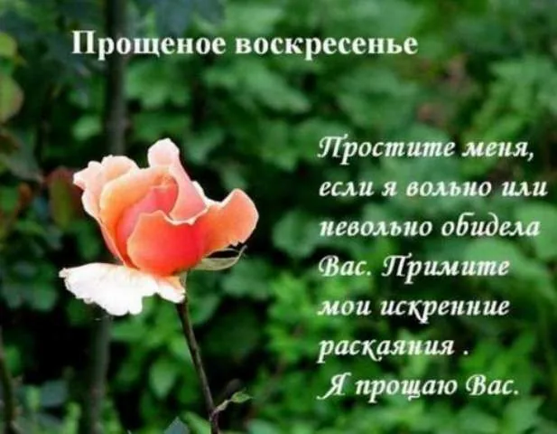Что нужно делать и что нельзя в этот день - сегодня празднуют Прощеное воскресенье