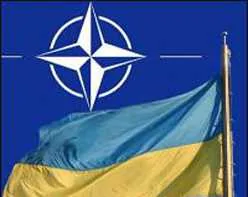 Годовую национальную программу Украина-НАТО Кабмин утвердил