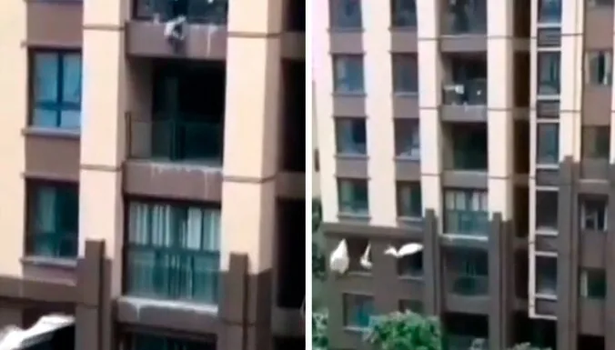 В Китае поймали ребенка выпавшего с шестого этажа, растянув одеяло. ВИДЕО