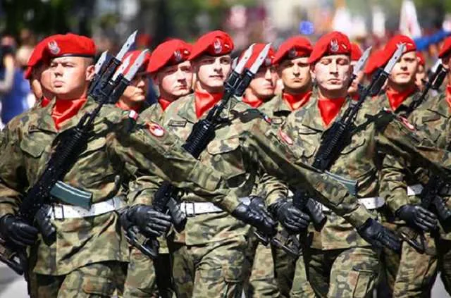 Армия добровольцев призвана остановить Путина