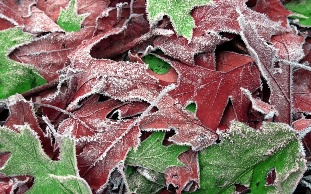В Україні наприкінці жовтня очікується значне похолодання