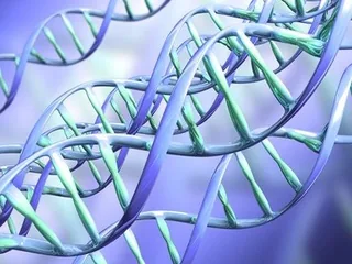 Вчені виявили ген, без якого рівень цукру в крові різко падає