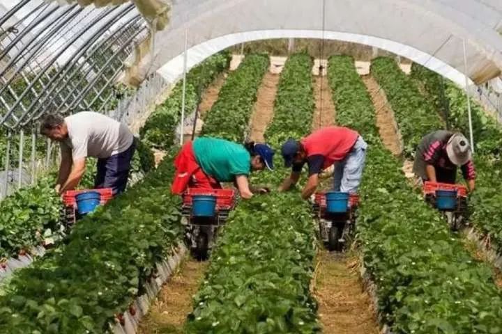 З Фінляндією Україна домовилася щодо рейсів для сезонних працівників