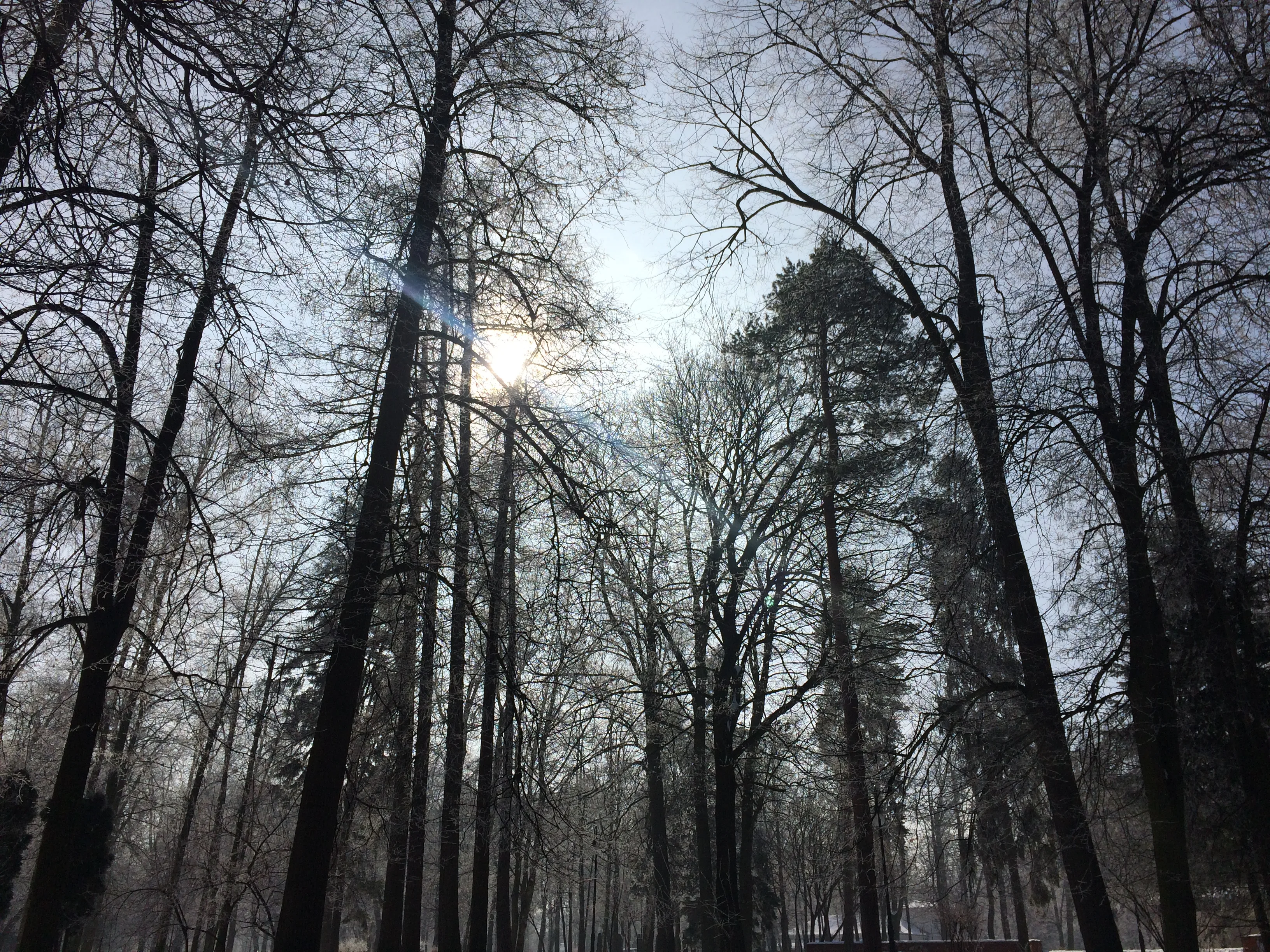 Прогноз погоди на сьогодні, 2 березня