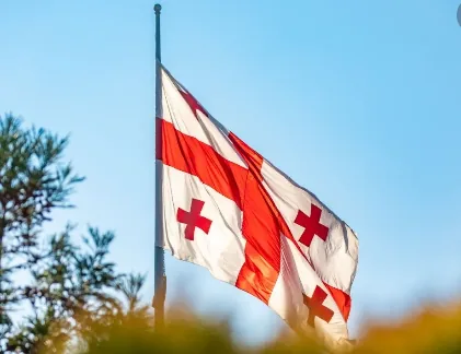 В перемозі на місцевих виборах і в швидкому звільненні свого лідера у партії Саакашвілі впевнені