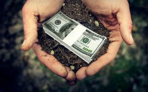 Перевірку покупців невеликих ділянок для садівництва Раді пропонують скасувати